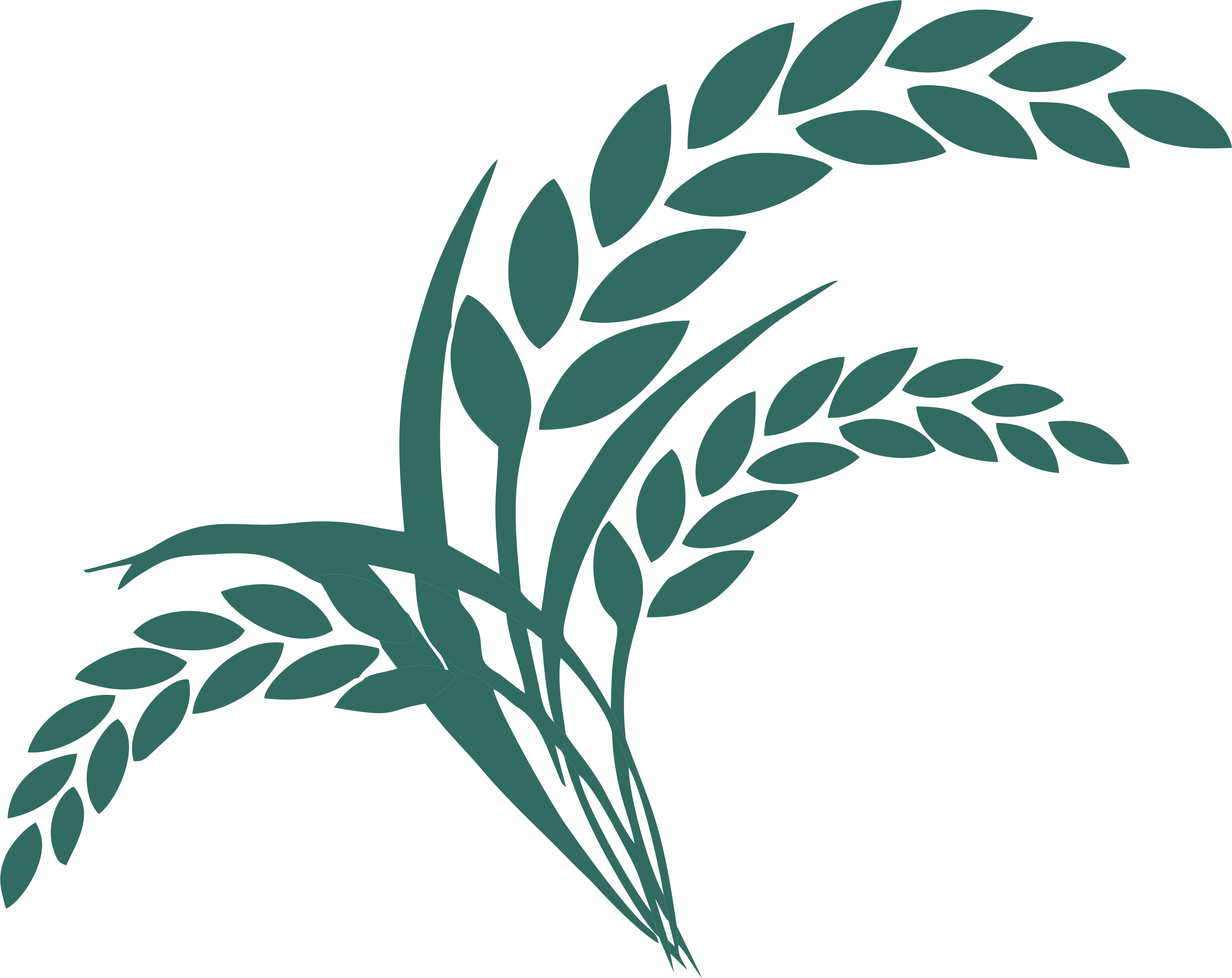The Elevation Group Logo