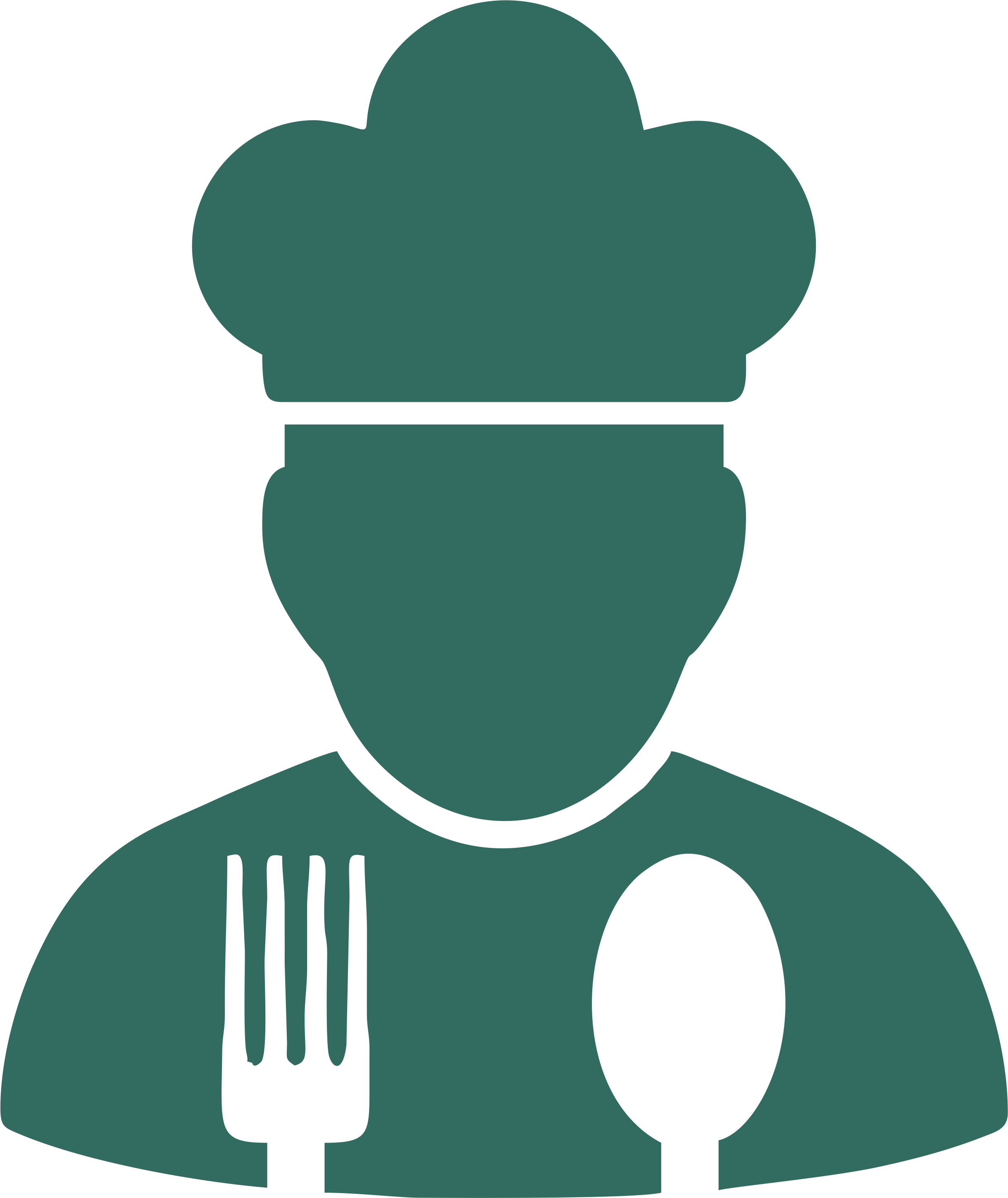 The Elevation Group Logo